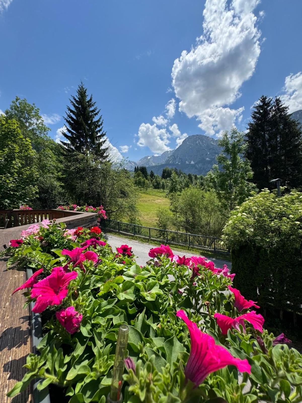 Sonnenburg Hotel Ервалд Екстериор снимка
